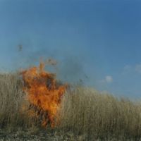 Death and rebirth: Untitled, from the Ametsuchi series (2012). Japan's public museums enjoy a makeover