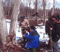 Forester Mr. Matsuki and television crew at an uri hada kaede maple -- about to be tapped for sap. Life can be sweet down in the forest