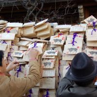 Hopes and dreams: People tie up ema votive plates during their traditional new year’s visit to Yushima Tenmangu Shrine in Bunkyo Ward, Tokyo. Each year the ema depict the astrological animal associated with that year. How astrology and superstition drove an increase in abortions in Japan