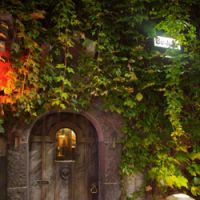 Retro vert: The ivy-covered facade of Bordeaux in Ginza Stir up memories in bars of yore
