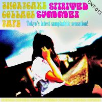 Shortcake Collage Tape 'Spirited Summer'