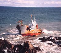 A wrecked trawler is seen on rocks at the very tip of Cape Nosappu, east of Nemuro City Treading on thick ice