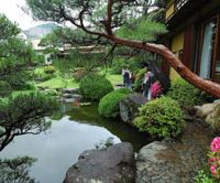 A red pine leans across the pond at Kiunkaku garden in the town of Atami on the Izu Peninsula. The art of a great garden