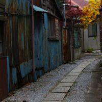 Rhapsody in blue: Many small Kita Senju streets have an elegantly worn look like this one. The narrow roads of Senju