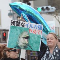 A whale of a time: Demonstrators march in Tokyo on Saturday against whale and dolphin hunts. Support for whaling outweighs opposition: animal rights survey