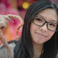 Pet of the year: A woman displays her pet corn snake during an event promoting responsible breeding and pet ownership in Hong Kong on Jan. 10. Serpent sales wind upward in Hong Kong