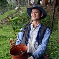 Ready to plant: Lai Pei-yuan carries a small tree on one of the mountains he owns near the central Taiwan city of Taichung. 'King of the Trees' fights for the forests of Taiwan