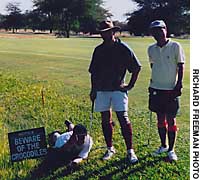 A sign on the Victoria Falls course Caddie rises to big game