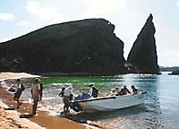 Bartolome Island (above) boasts a splendid view of the Galapagos archipelago, which is home to grinning land iguanas (below) and an extraordinary array of wildlife. Livin' la vida loca