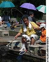 A father and son and a bent rod signal yet another epic in the making at Musashinoen fishing pond in Tokyo's Sugninami Ward. But it isn't always so... Seek the Hemingway within at a concrete-jungle pond