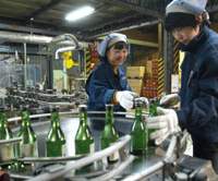 Workers collect newly bottled sake from the production line at a Kyoto brewery (above); 72-liter sake kegs adorn another brewery’s entrance (below). Winter's the season for sake nouveau