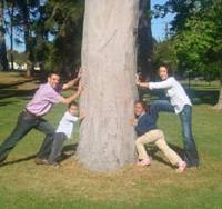 One, two, tree!: The Macklin family pushes a tree together in Adelaide, Australia, last November. Harley guide makes good on flight attendant's plight