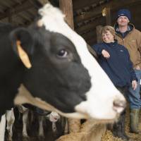 Cash cow: Judith and Rene Dekker have operated a dairy farm since 2000 in Ubly, Michigan. The Dutch couple in 2011 applied for an EB-5 visa and invested $500,000 in a Washington hotel project so the family could stay in the United States. Visa program for investors gains traction