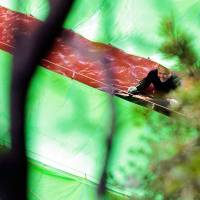 Out of sight: Grasping a steel spear in his right hand and the fin of a dolphin (obscured by tarpaulin) in the other, a fisheries worker smiles as he prepares to sever the animal’s spinal cord in the bloody waters of “killer cove” in Taiji, Wakayama Prefecture, in September 2009. Taiji dolphin cull inhumane: study