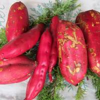 Potato power: Japan’s many varieties of satsumaimo (sweet potato) herald the fall and winter seasons, and have been popular since the rice-crop failures of the mid-18th century. Sweet dreams of a childhood winter warmer
