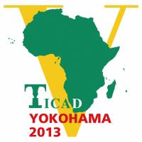 Japan to focus on public-private partnerships