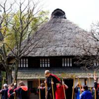 The wild, wild East: Canadian high school students try out takeuma (bamboo horse) stilts in front of Shirota House at Jidayubori Minkaen. Thatched spring in Setagaya