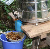 Nectar vector: Some combs that Mr. Matsuki cut out of the nest we put into our stainless-steel centifuge after slicing off their wax seals — and out came the most delicious acacia honey. My 'honey trap' sauna