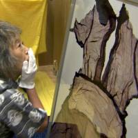 Everlasting style: Miyako Ishiuchi examines one of her own photographs at an exhibition of her work, which focuses on the belongings left behind by victims of the Hiroshima bombing in 1945. Her work is the subject of “Things Left Behind,” a documentary by Linda Hoaglund. Spirits linger in the trinkets of Hiroshima's dead