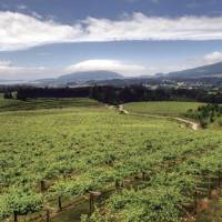 Breaking Spanish stereotypes: A view of the DO-classified Rias Baixas of northwest Spain (above), where 12-century Cistercian monks are thought to have introduced the Albarino white-wine grape. Spanish vintners are shaping up
