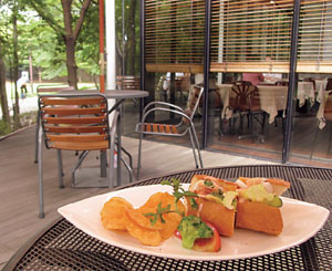 Cafe d’Art Park life: A light lunch at Park Side Cafe in Yokohama. | ROBBIE SWINNERTON PHOTO