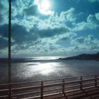 Shine on crazy diamonds: Osaka Bay on a wintry late afternoon. A rose among roots on Awajishima