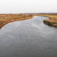 Away from it all: The Sarufutsu River (far left) and its many serpentine tributaries comprise one of the last wild-salmon river systems in Japan. Sarufutsu: As far north as you can go in Japan