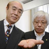 Peace offering: Masahiro Sasaki (left), brother of Sadako Sasaki, who died in 1955 at age 10 of leukemia related to the A-bombing of Hiroshima, holds one of the origami cranes she made as Kenji Shiga, head of the Hiroshima Peace Memorial Museum, looks on. The crane, returned by the museum to Sasaki on Friday, will be gifted to Okinawa this fall as symbol of peace. Sadako paper crane returned to brother