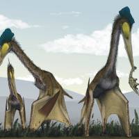 Suppertime: A group of azhdarchid pterosaurs, whose wingspans could exceed 10 meters, forage for food. Recent research suggests that pterosaurs were active flyers rather than gliders as scientists long believed. Flying reptiles that weren't so scary after all