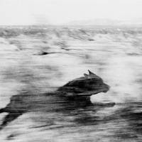 An image from John Divola’s series “Dog Chasing My Car in the Desert” (1996-98) Tokyo Photo 2013 heads for Zojoji Temple