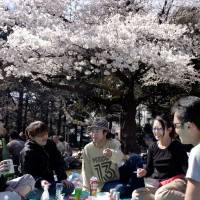 Eye of the beholder: “For some, the bright shade of cherry blossom is the antithesis of yugen, though the great dramatist of noh, Zeami Motokiyo, used this very term, ‘hana’ (flower), to describe it,” the reviewer writes. Searching to define difficult, elusive concept