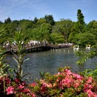 Water views: Cutting across the pond, this bridge connects Inokashira’s shady lanes and offers a view of the paddleboats. Get lost in Inokashira Park and find yourself in Ghibli