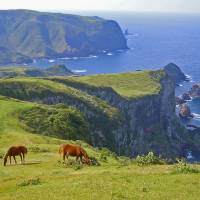 More than pasture: Horses graze along the Kuniga Kaigan coast in the town of Nishinoshima in the Oki Islands, Shimane Prefecture, in this photo provided by the local municipal office. Shimane's Oki Islands win Global Geopark classification