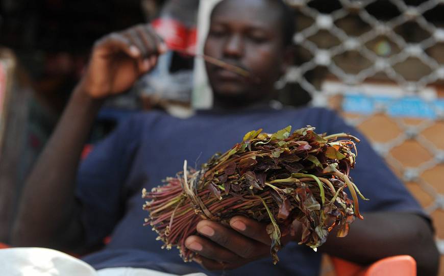 British Somalis brace for khat ban The Japan Times