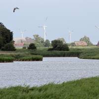 Family-owned: Windmills stand near farms on the island of Pellworm in northern Germany on Aug. 8. Tiny German island gives power to the people