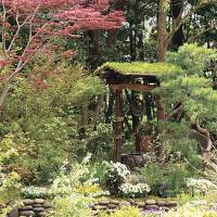 A well in Kazuyuki Ishihara’s award-winning garden at The Westin Tokyo in Ebisu. Oasis of peace in Tokyo