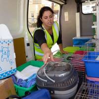 Search and rescue: Anna Felton, a zoologist and volunteer with animal rescue group WIRES, prepares cages in her van in Springwood, Australia. Veterinarians west of Sydney remain on standby as crews from the rescue group hike out into scorched bush areas in search of native creatures that have survived the fires that ravaged the Blue Mountains area Volunteers search for smallest survivors of Australian fires: native wildlife