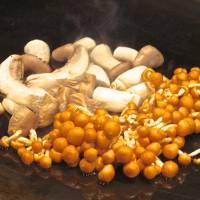 Seasonal fungi Misotetsu Kagiroi