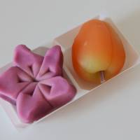 Some wagashi sweets the writer made. Sweet times beside a scary Kyoto mound