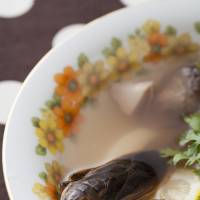 Giant water bug ethnic soup. Experiment at home with these eye-opening insect recipes from 'Mushi-kui Note'