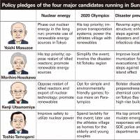 Masuzoe seen leading race for Tokyo governor