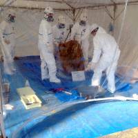 Hazardous work: Experts working behind plastic examine barrels that were dug up from underneath a soccer pitch in the city of Okinawa on Thursday. Fears widen over Kadena toxins
