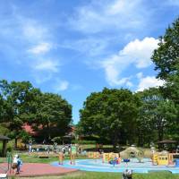 Day of play: Kodomonokuni, or “Children Country,” opened in 1965 and was founded in commemoration of the Imperial wedding. Its vast landscapes include rides that are customized for small children, along with a petting zoo and barbecue facilities. Exploring a land designed with children in mind