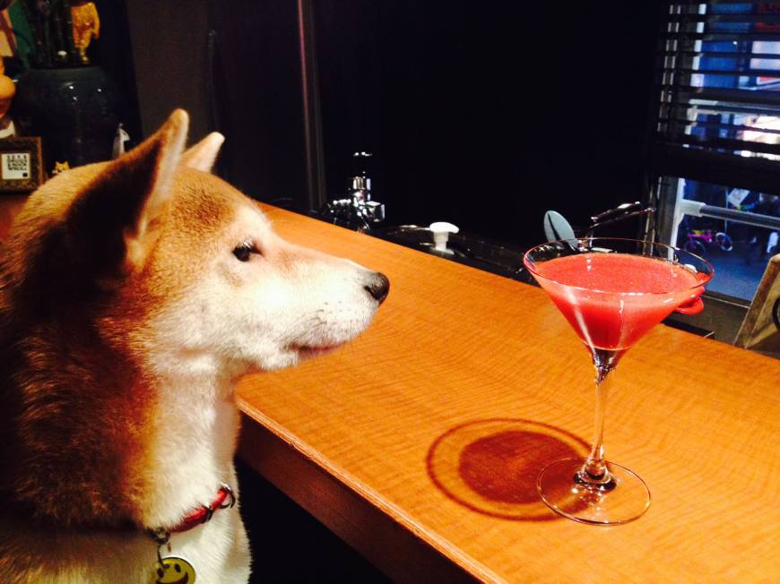 Bar Black Sheep Sheep herder: Hana-chan is responsible for rounding up many of Bar Black Sheep's regulars. | ANGELA ERIKA KUBO