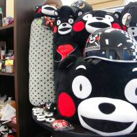 Moneymaking mascot: Kumamon character products are displayed at the Kumamoto prefectural office on Feb. 20. Kumamon mascot sees surge in 2012 product sales