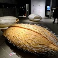 The My name is Rice installation — giant models of rice in different stages greet visitors to Kome:The Art of Rice. There is a giant serving of culture in one bowl of rice
