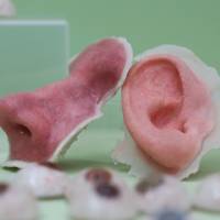 Nobody nose: A prosthetic nose and ear sit on display during the 3-D Print show at the Business Design Center in London in November 2013. 3-D printers may make human organs