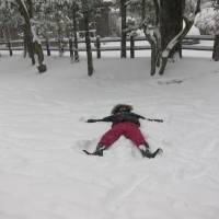 Happy together: The rescued daughter of Richard Cory makes a snow angel during a recent snowfall in Tokyo. Left-behind dad eyes an end to abduction culture