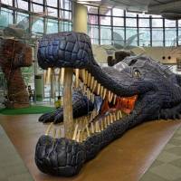 Belly of the beast: Children can run through, and climb, a model of a giant Toyotamaphimeia, a large ancestor of the crocodile that lived in Japan 400,000 years ago. Osaka museum offers Big Bang for your buck