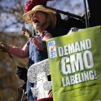 Hand in glove: A man performs in a puppet show during a rally in San Francisco, California, in support of a proposed initiative that would require mandatory labeling of genetically modified raw and processed food products. Genetically modified food spooks consumers